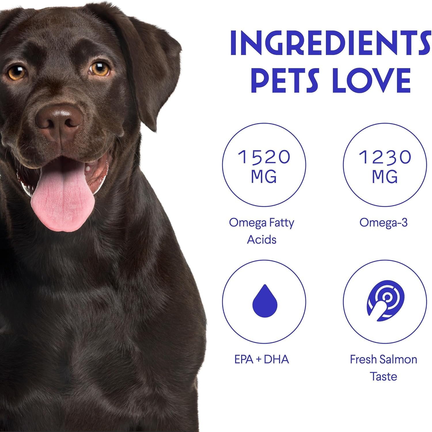WONDER PAWS huile mélangée à croquettes, améliore goût et absorption