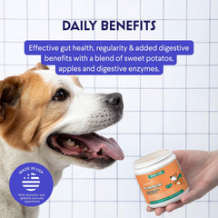 WONDER PAWS purée de citrouille servie en bol pour digestion apaisée