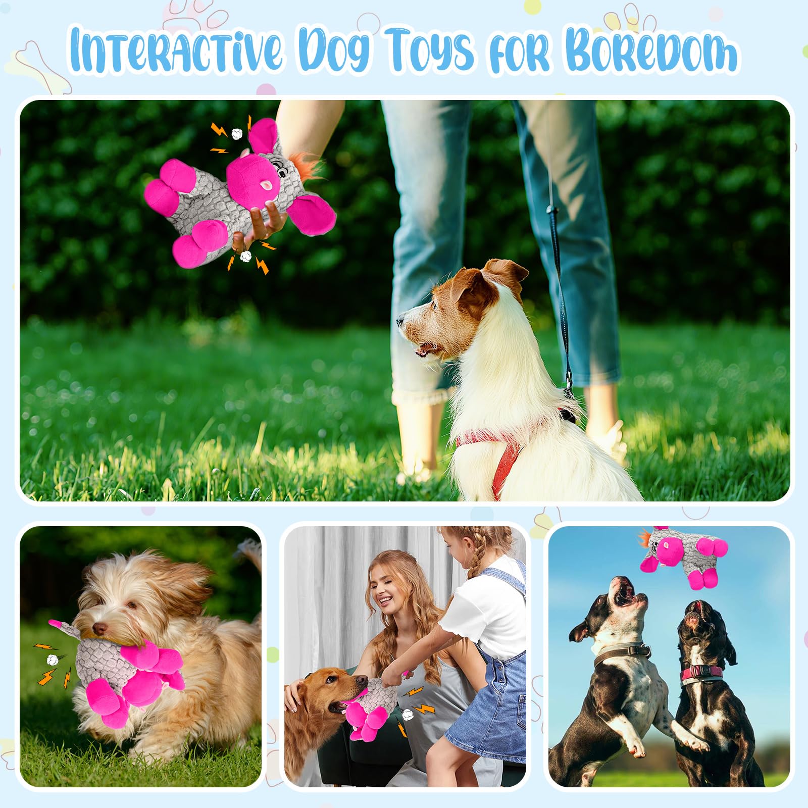 Wonfly âne comparaison taille montrant convenance pour petits chiens