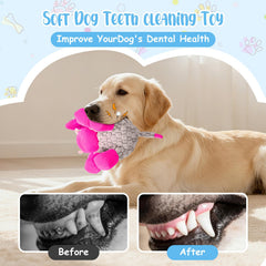 Wonfly âne en usage chien rapportant jouet pour exercice et lien