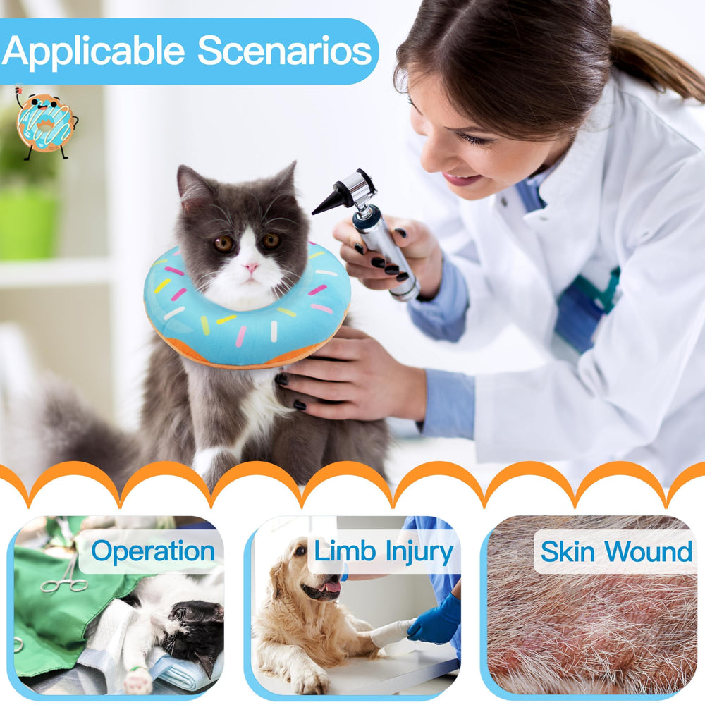 Chat portant la collerette WONONE en intérieur facilitant mouvement et jeux