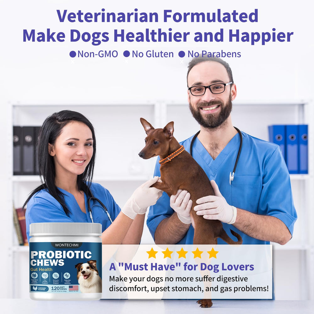 WONTECHMI chien mangeant en extérieur montrant acceptation et bien‑être