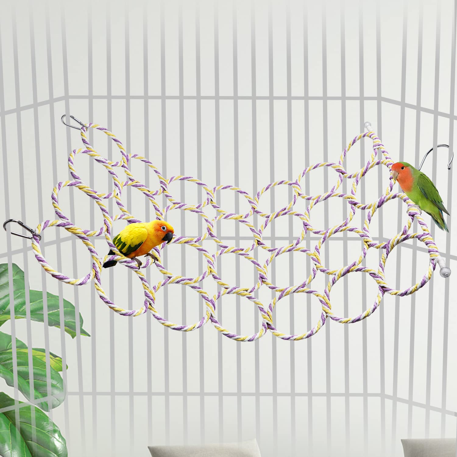 Wontee perchoir en usage avec oiseau actif et stimulation