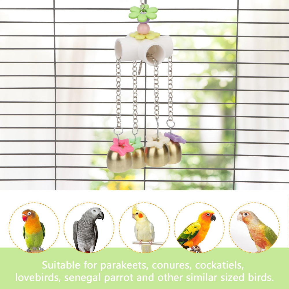 Wontee jouet installé dans une volière, divertit perruches et cockatiels