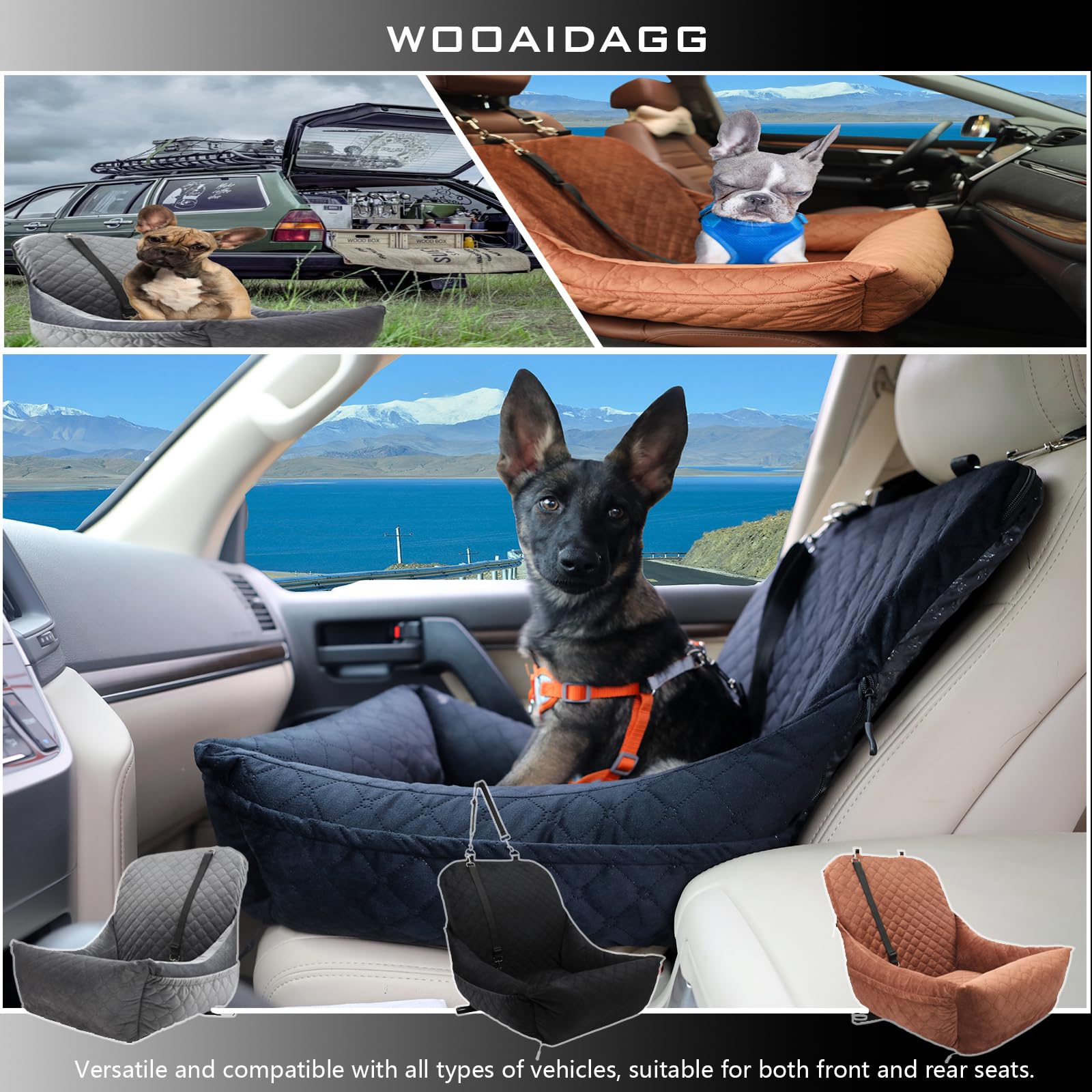 Wooaidagg comparaison taille affichant dimensions adaptées petits chiens