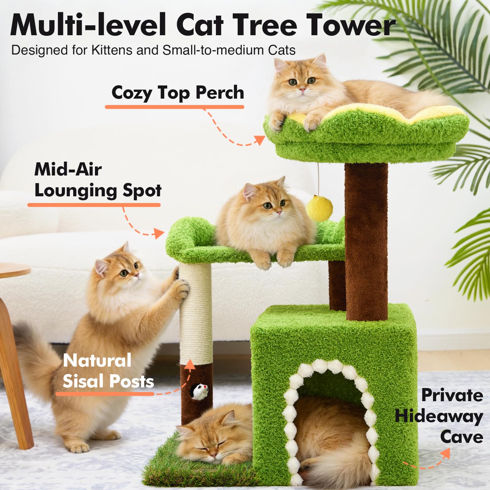 Woochpet gros plan sur la grotte offrant cachette et confort au chat