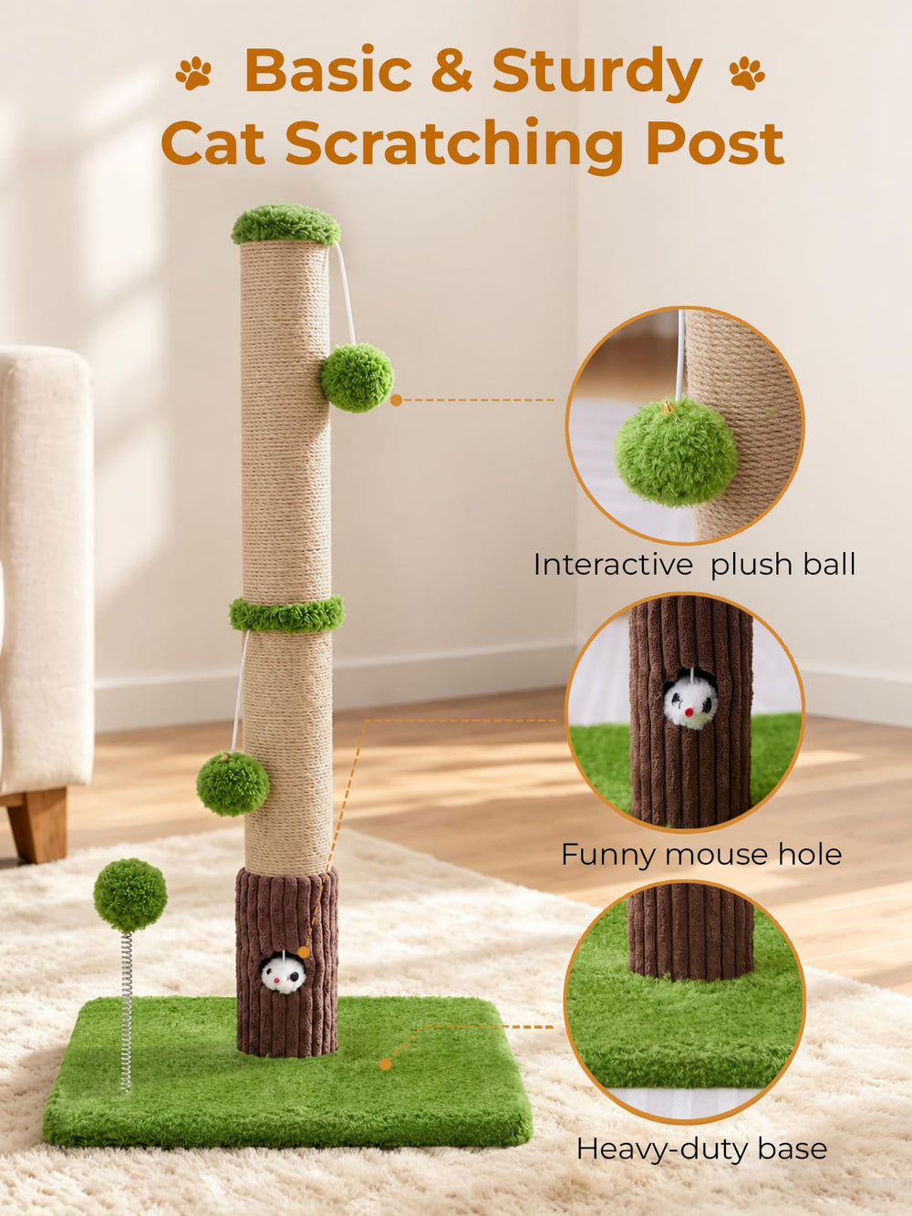 Woochpet échelle taille et dimensions montrant échelle pratique
