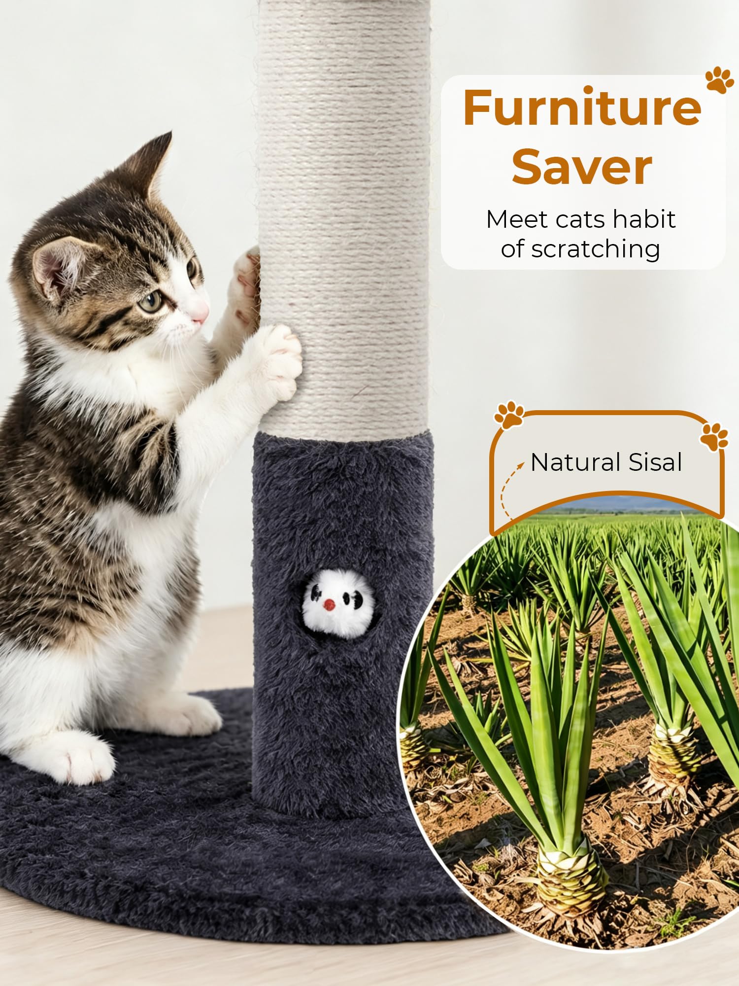 Woochpet ouverture en forme de souris encourageant la chasse