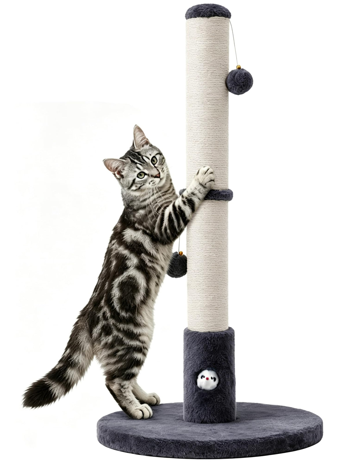 Woochpet griffoir face avant montrant stabilité et design