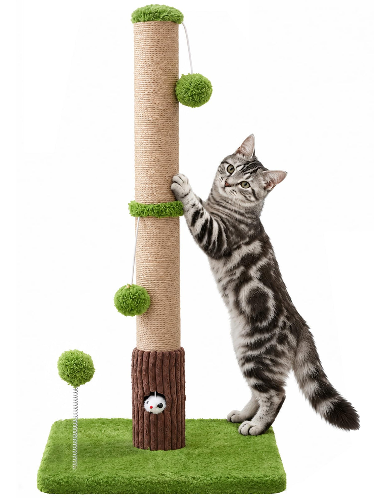 Woochpet poteau griffoir face montrant design stable et esthétique