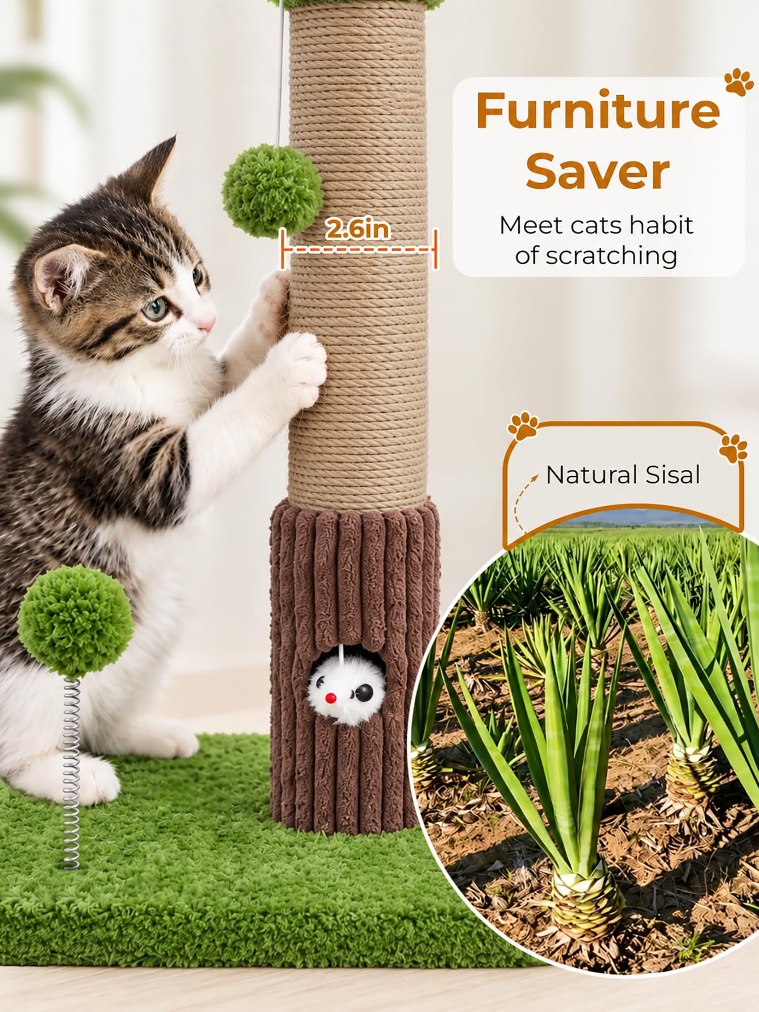 Woochpet trou de souris avec chat activant l'instinct de chasse