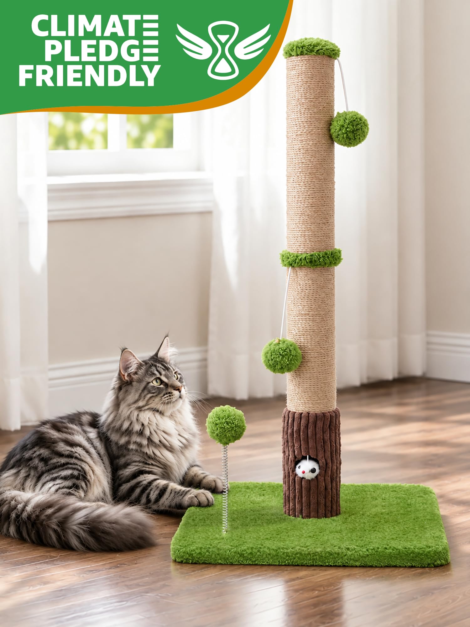Woochpet gros plan sisal durable offrant surface résistante au griffage