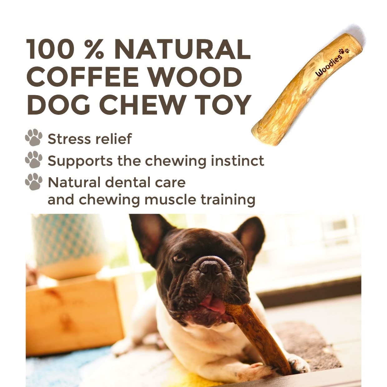 Woodies Dog Chews chien mordant en extérieur pour occupation saine
