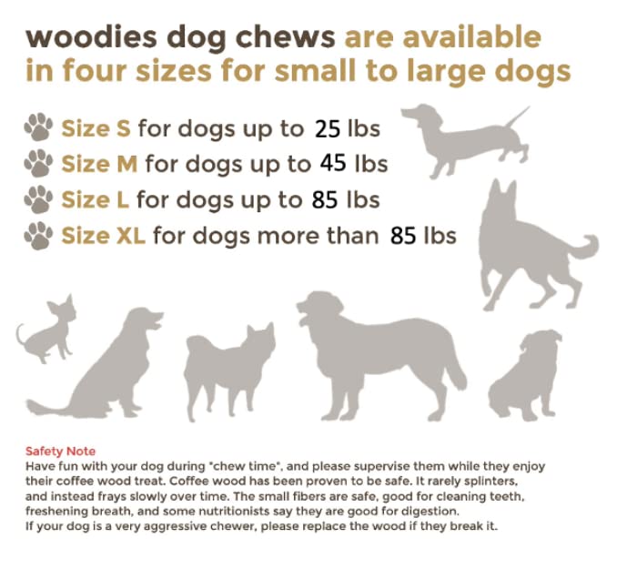 Woodies Dog Chews en main illustrant échelle et taille L pratique