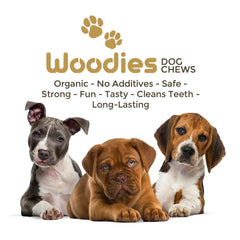Woodies Dog Chews gros plan sur le grain du bois pour robustesse