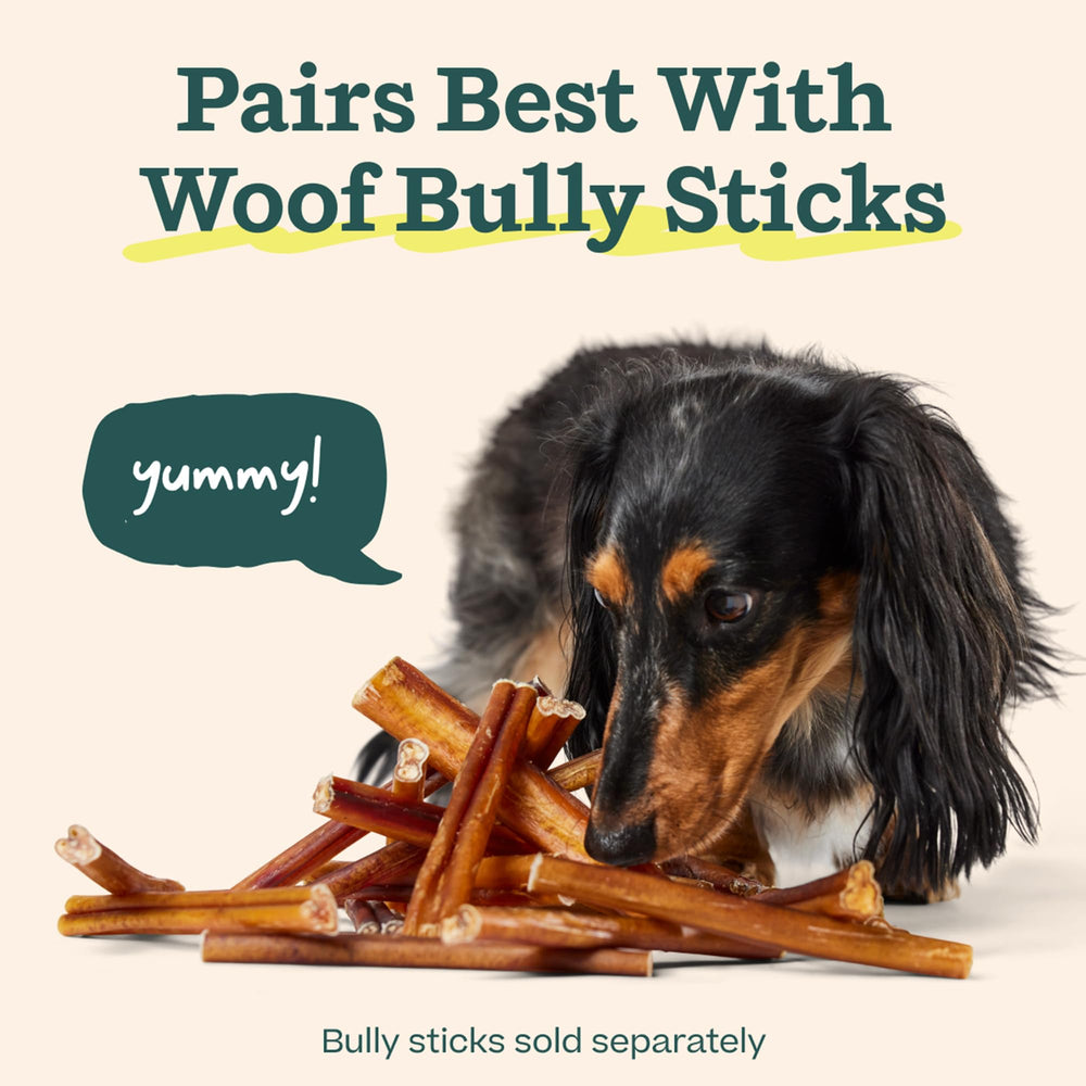 WOOF BullySafe comparaison taille main montrant portabilité pratique