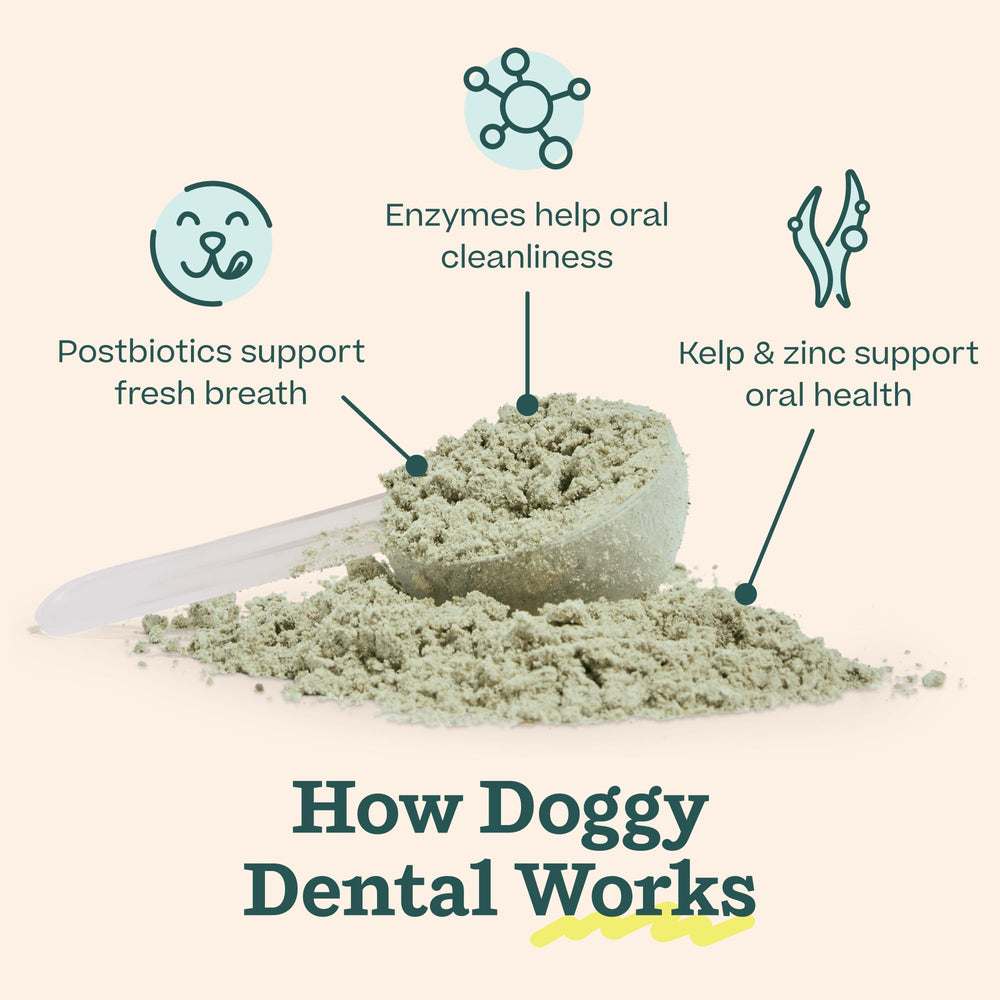 WOOF chien qui lèche Pupsicle montrant distraction et nettoyage actif