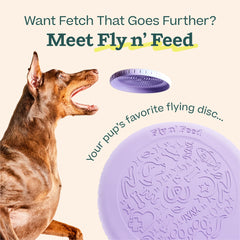 WOOF gros plan sur la face lick mat montrant textures apaisantes