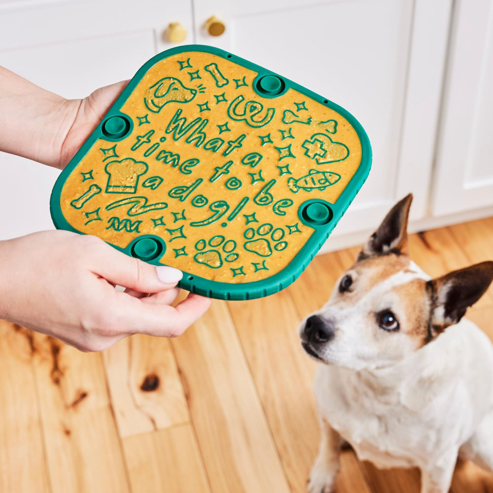 WOOF FlipMat comparaison taille main montrant compacité et transport facile