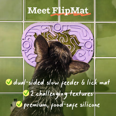 Woof FlipMat Mini fixé sur vitre de voiture, aide à calmer le chien en déplacement