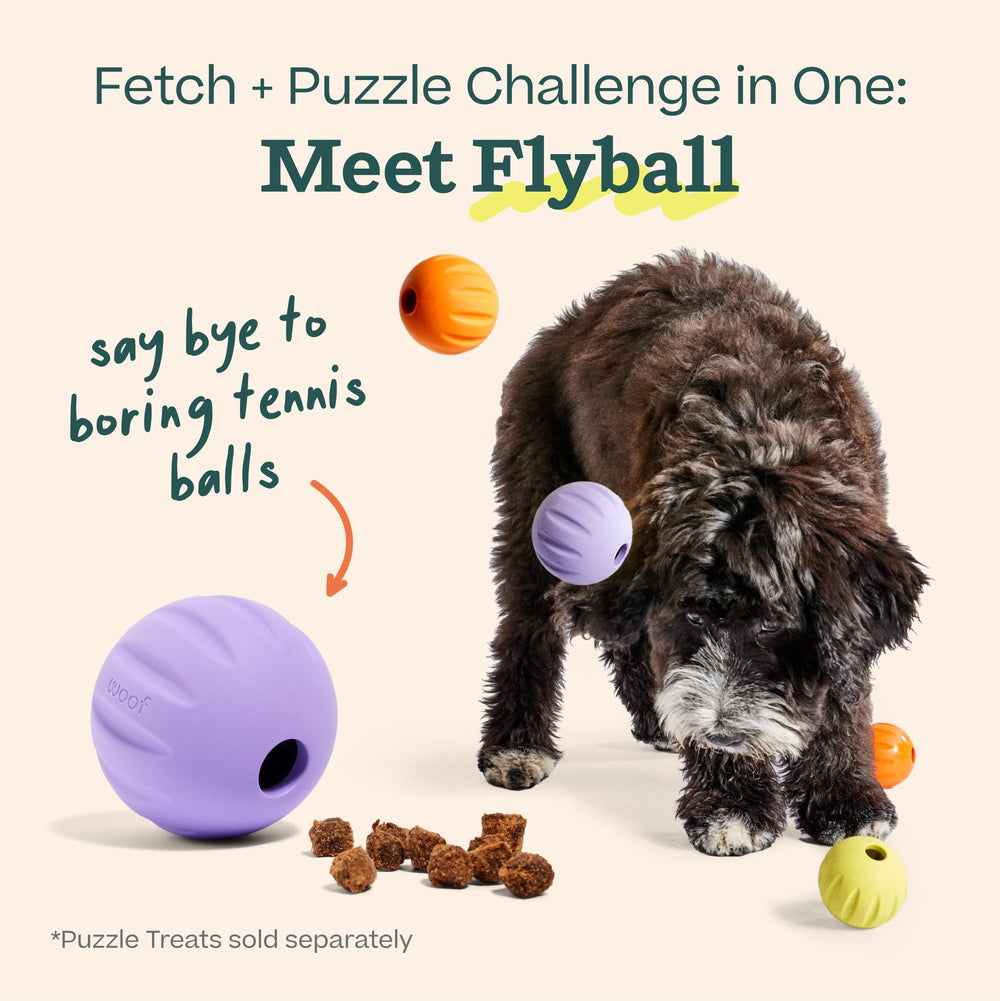 Chien attrapant WOOF Flyball lancé au parc pour exercice et stimulation