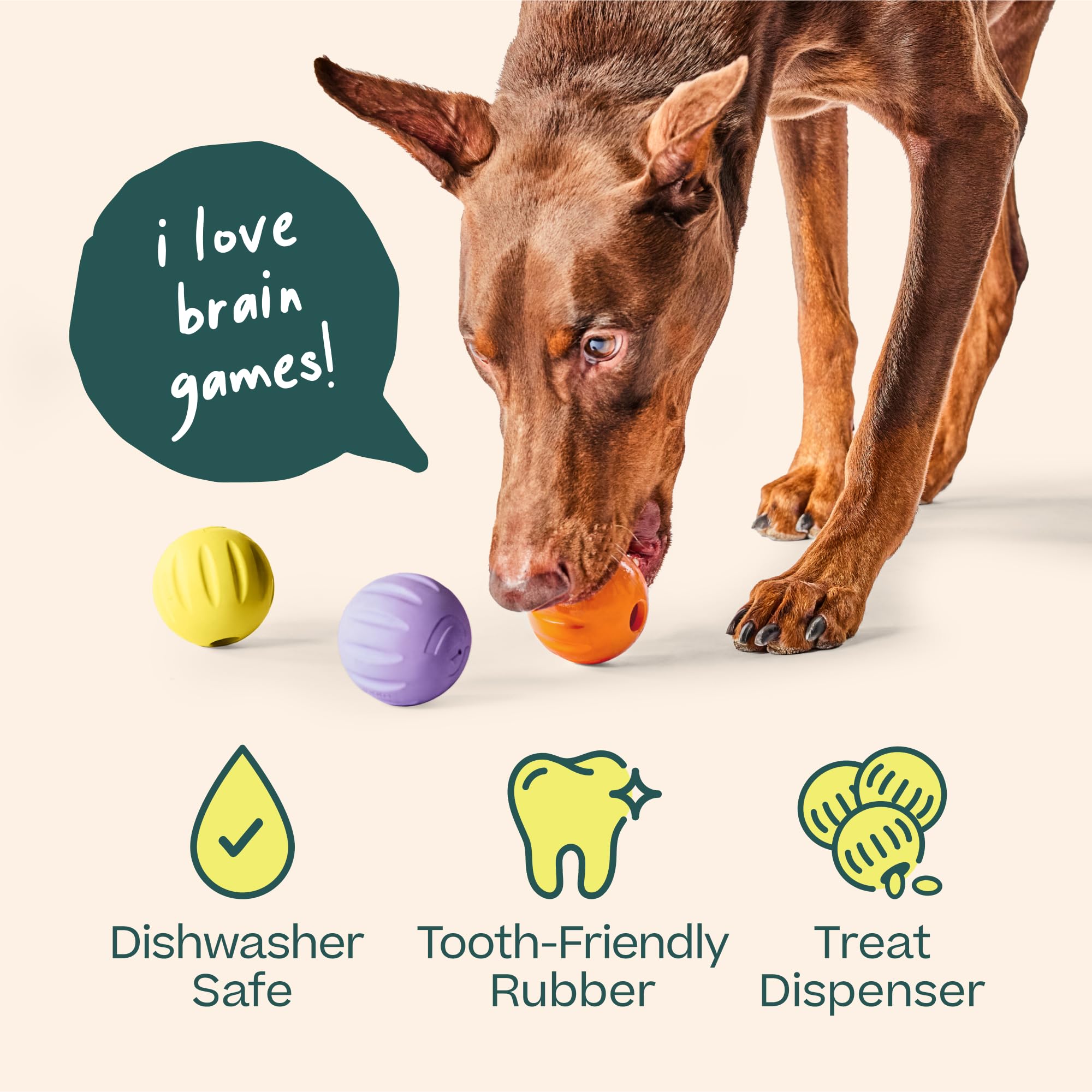 WOOF Flyball posé dans le panier supérieur d’un lave-vaisselle pour nettoyage facile