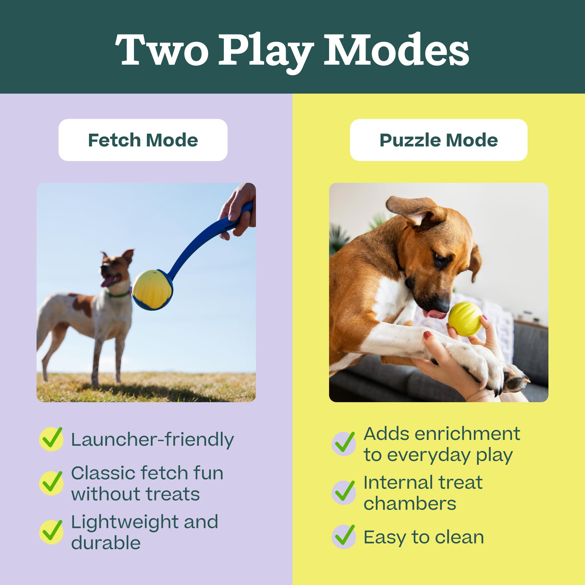 Ouverture de WOOF Flyball remplie de Woof Puzzle Treats pour récompense graduelle