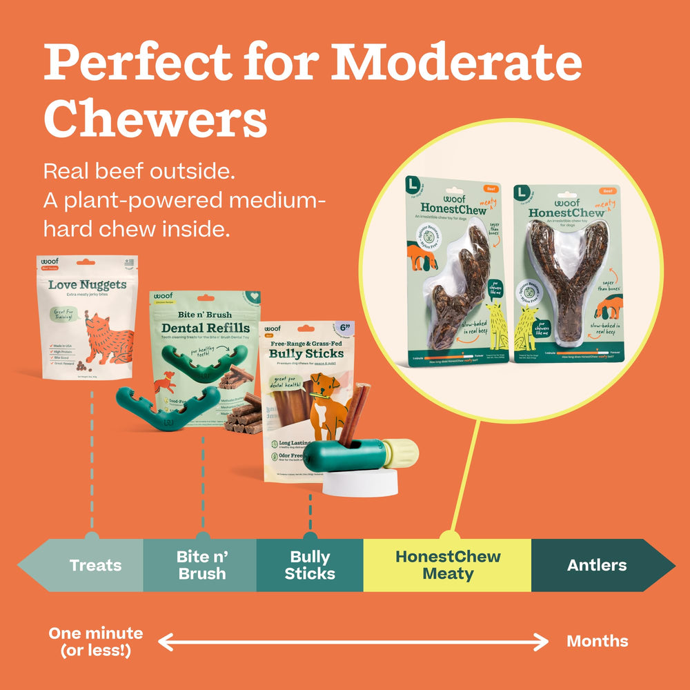 WOOF HonestChew Antler scène lifestyle chien détendu mâchant, réduit l’ennui