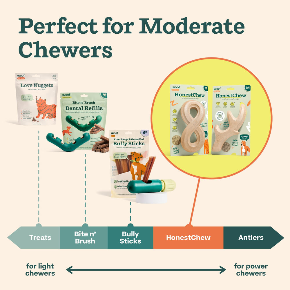 WOOF HonestChew tenu dans la patte d’un chien montre adaptation taille