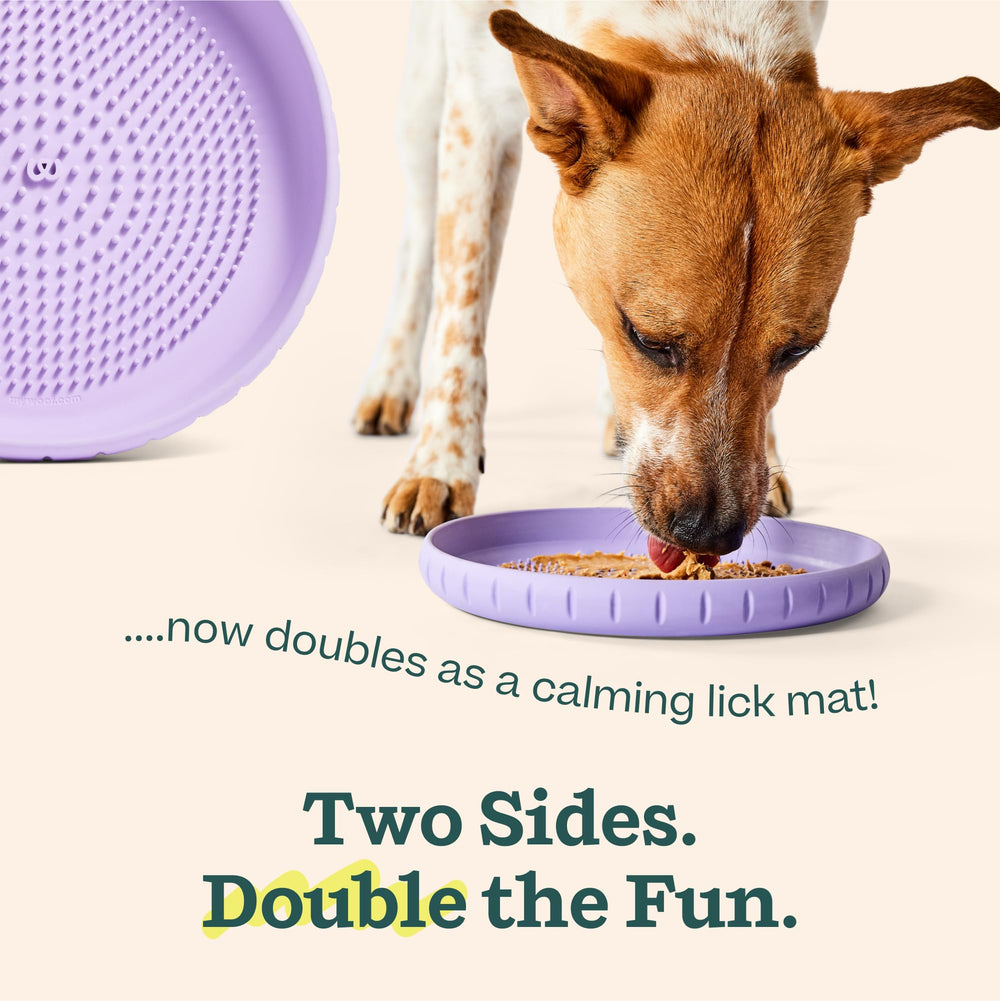 WOOF disque en vol montrant aérodynamisme pour jeux de fetch