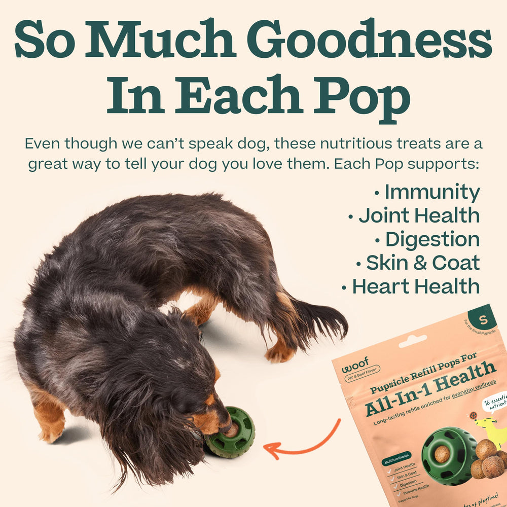WOOF chien en train de sucer le Pupsicle offrant longue occupation et satisfaction
