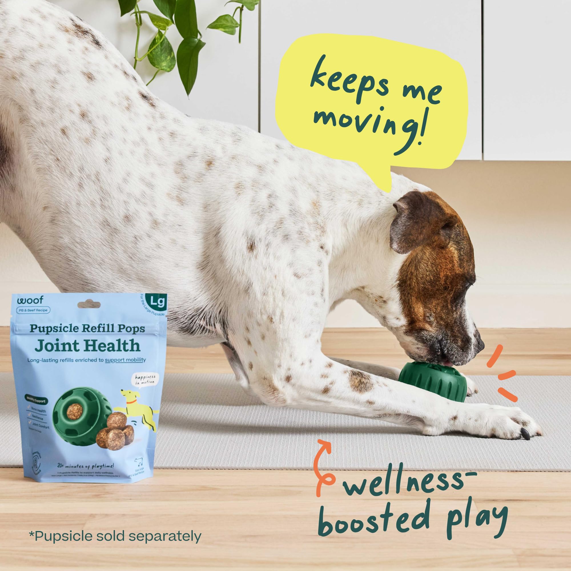 WOOF recharge à l’échelle montrant taille extra-large bénéfice adapté mâchoires fortes