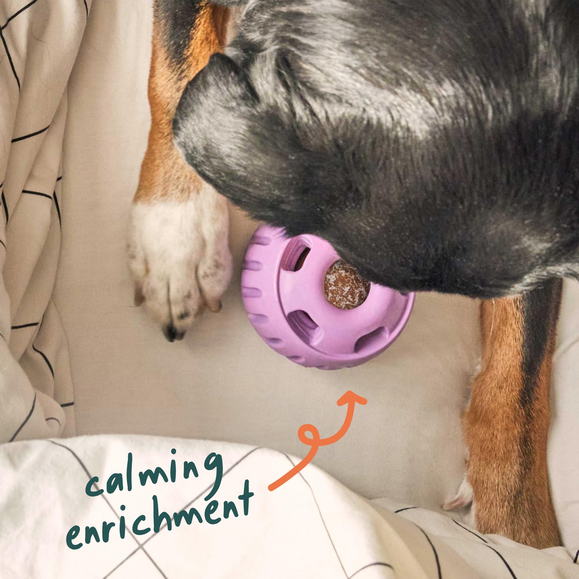 WOOF étiquette lisible montrant ingrédients et bénéfices clairs