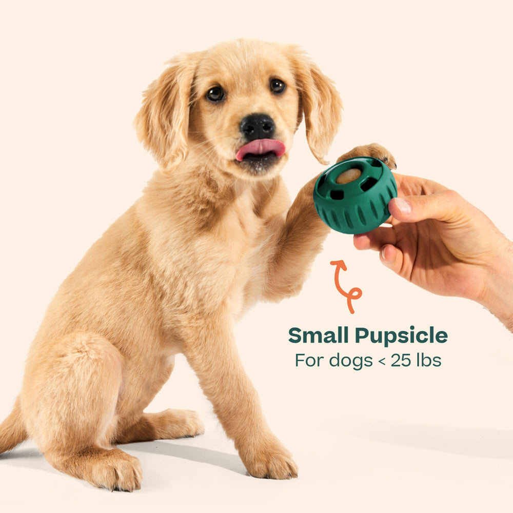 WOOF Pupsicle avec recharges et moule montrant options de remplissage rapides