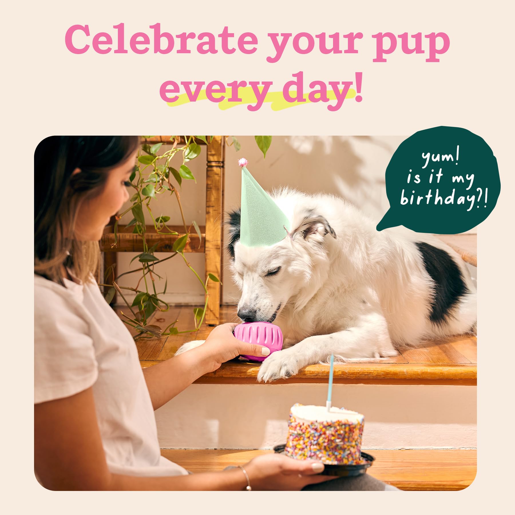 WOOF Pupsicle ouverture facile pour remplir friandises sans renverser