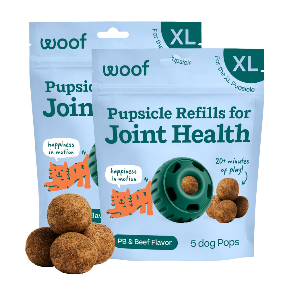 WOOF recharge Pupsicle face avant montrant forme et robustesse bénéfice durabilité