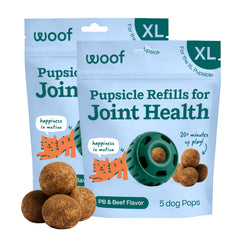 WOOF recharge Pupsicle face avant montrant forme et robustesse bénéfice durabilité