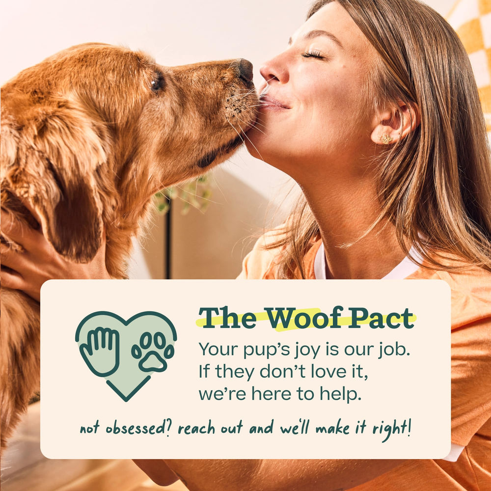 Mise en scène cuisine avec WOOF Pupsicle Refill prêt à servir montrant praticité et rangement