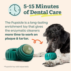 WOOF Pupsicle rempli prêt à congeler offrant longue durée de léchage