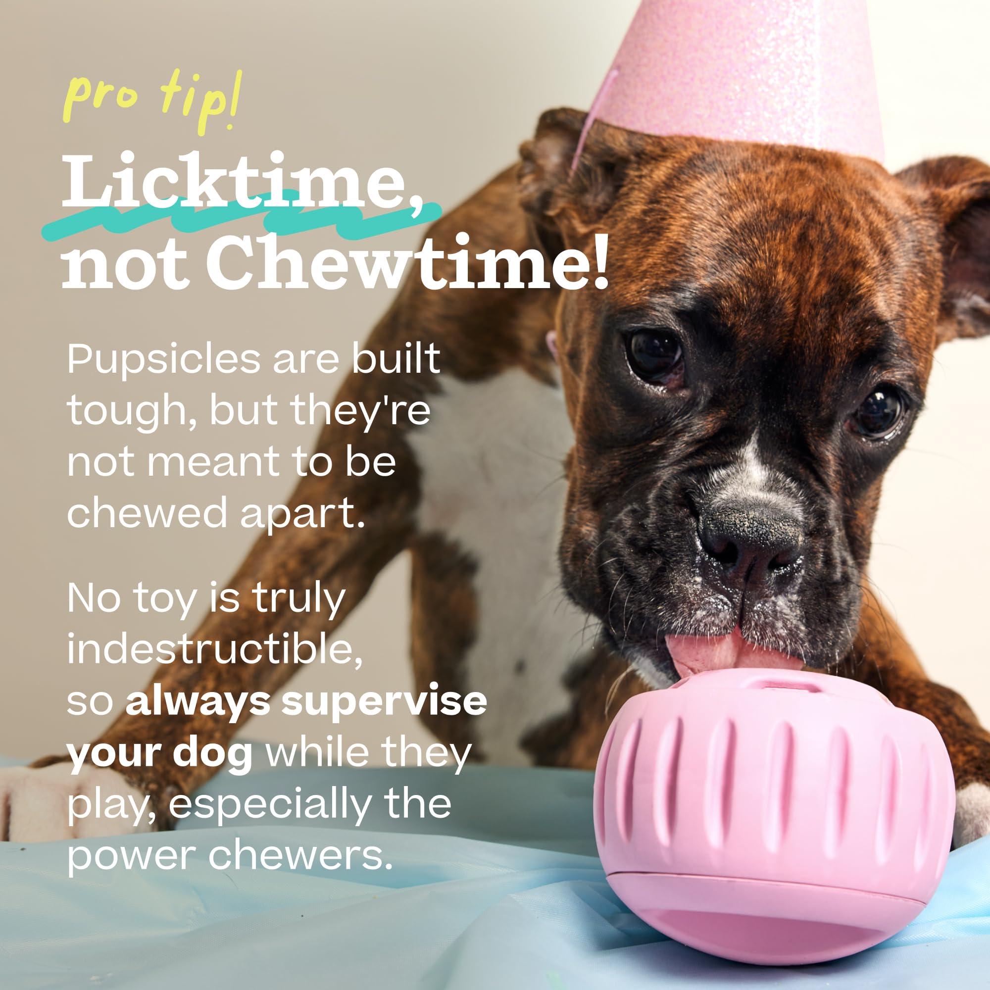 WOOF comparaison taille Pupsicle à côté d'une bouteille pour échelle