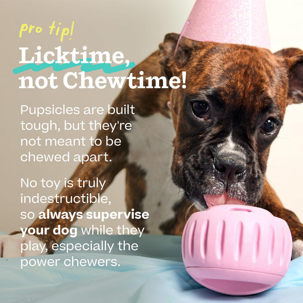 WOOF comparaison taille Pupsicle à côté d'une bouteille pour échelle