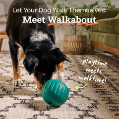 WOOF chien jouant avec Walkabout à l'intérieur pour exercice mental