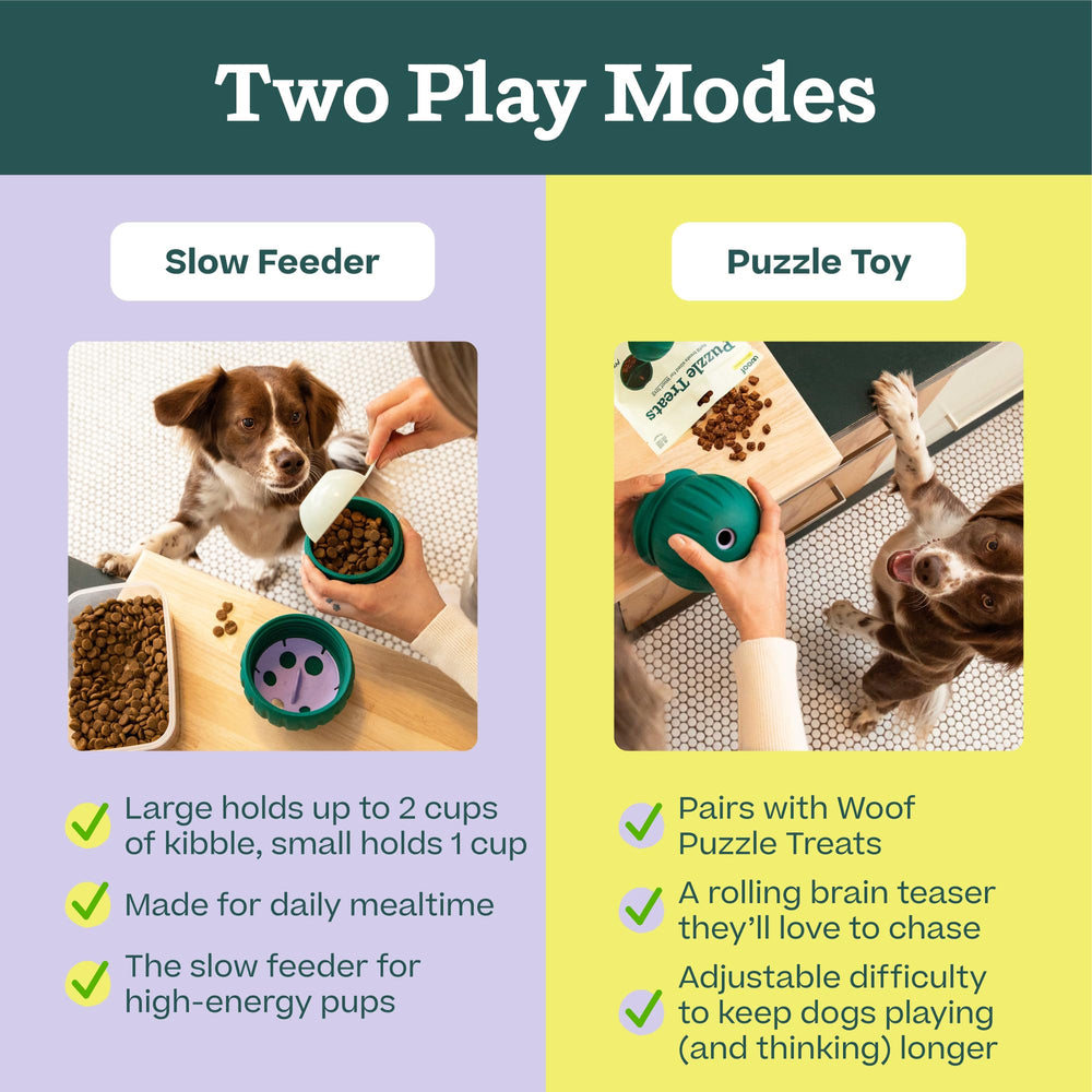 WOOF comparaison taille Walkabout à la main, montre compacité pratique