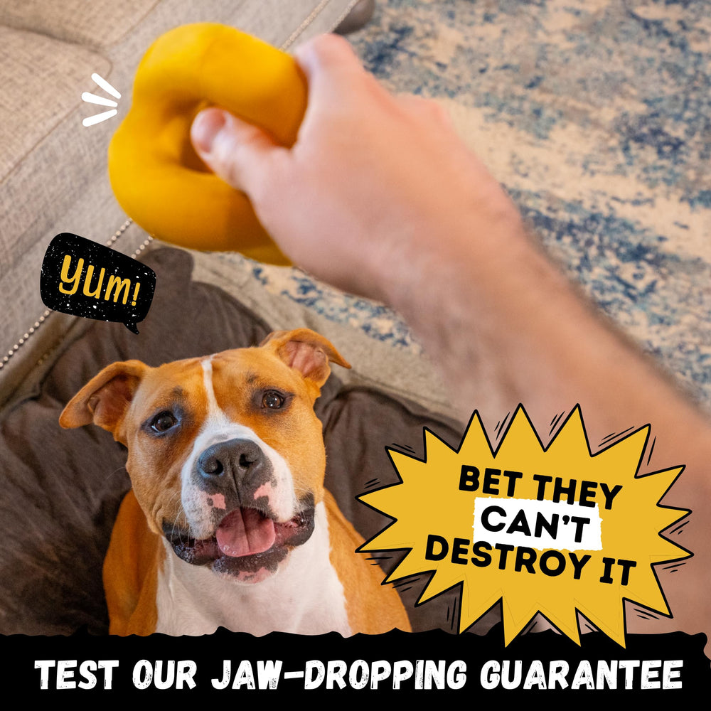 WoofBite balle en usage lors d'un lancer pour stimuler l'exercice du chien