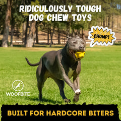 WoofBite gros plan sur le caoutchouc naturel résistant et sécurisant