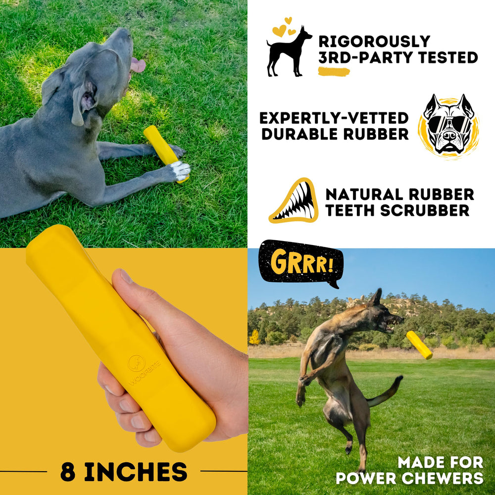 WoofBite comparaison taille 20 cm proche d'une main pour échelle