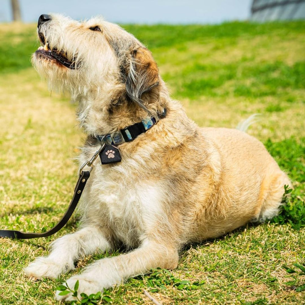 Woofhoof pochette comparaison taille montre dimensions compactes