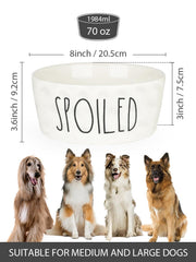 WoofinPets motif manuscrit décoratif apportant style moderne