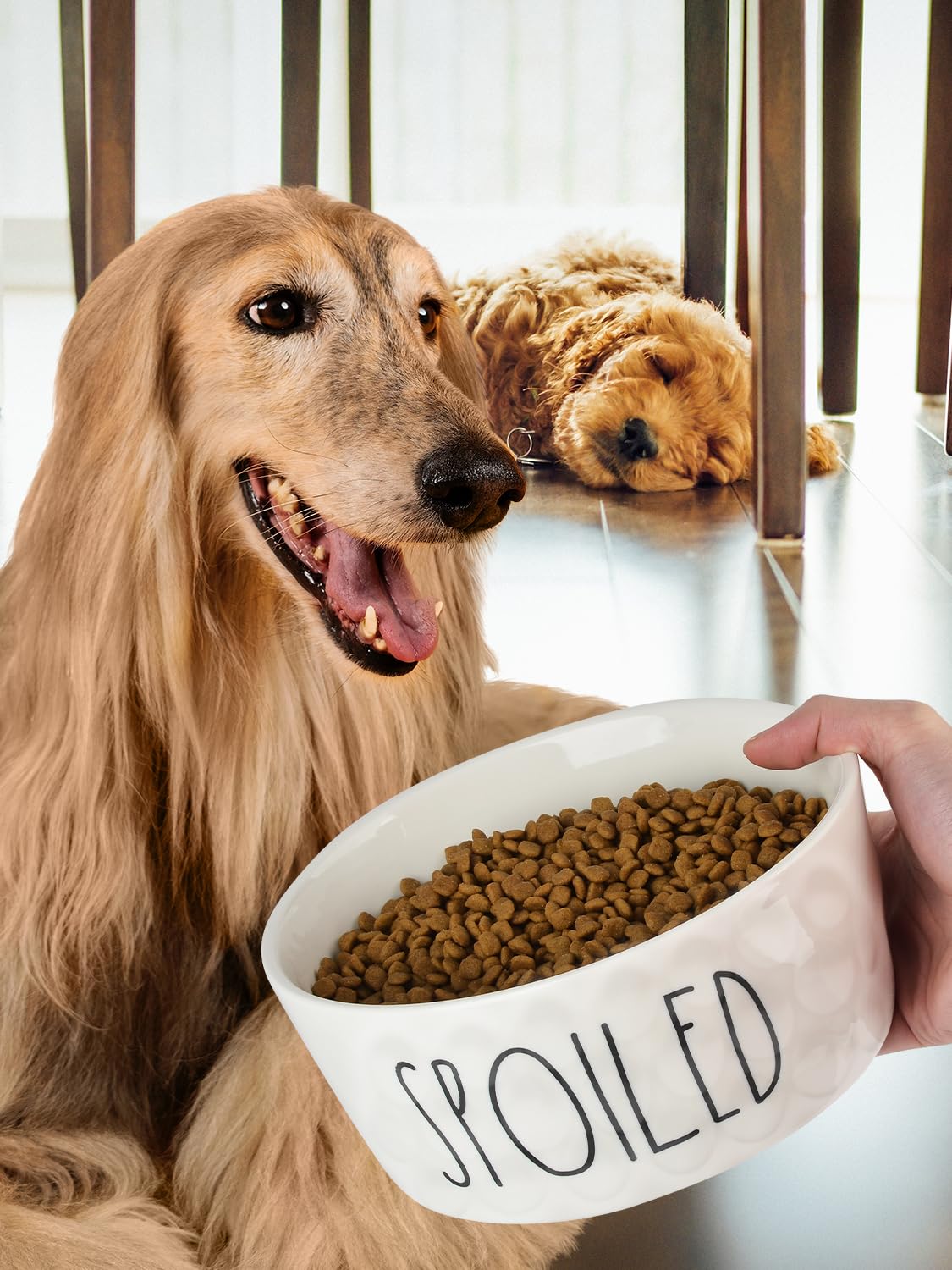 WoofinPets intégrée dans un intérieur minimaliste élégant