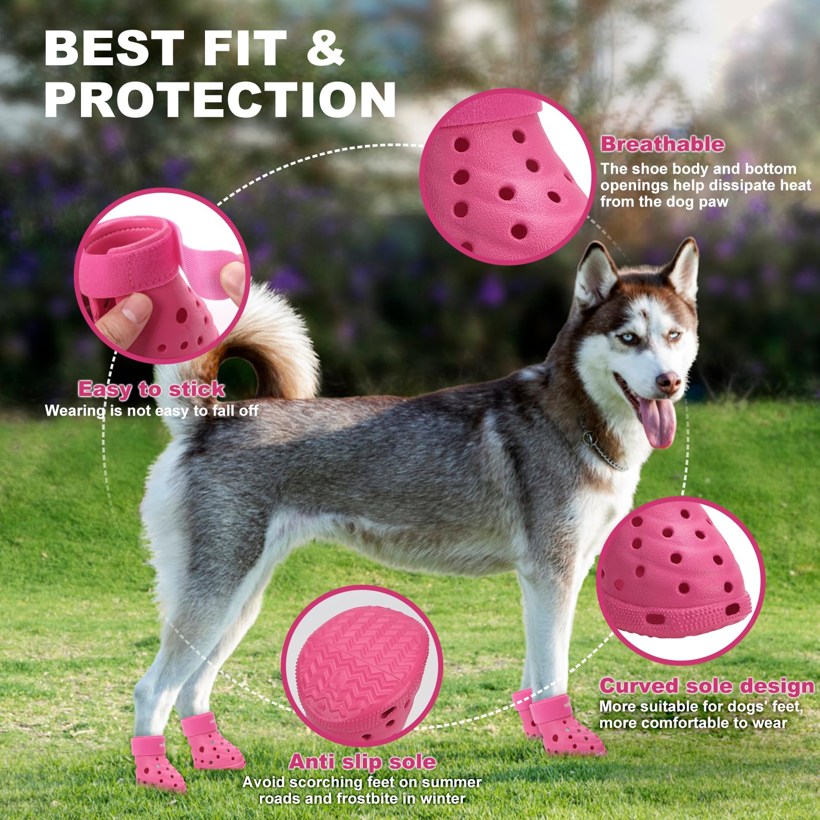 Wooftrak comparaison taille avec patte de chien pour choix précis